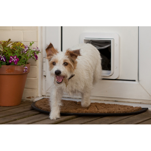 Microchip Pet Door "Connect" (Wood Fitting) Hub Included NZ Pet Doors