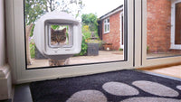 Microchip Cat Door - Dual Scan (Glass)