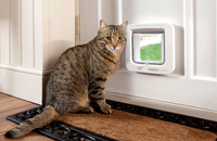 Cat door mitre 10 sale