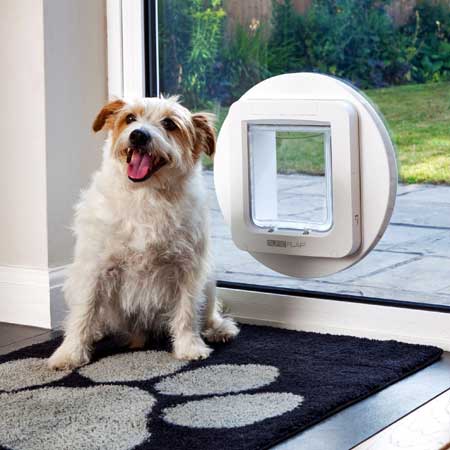Microchip Pet Door (Glass Fitting) – NZ Pet Doors